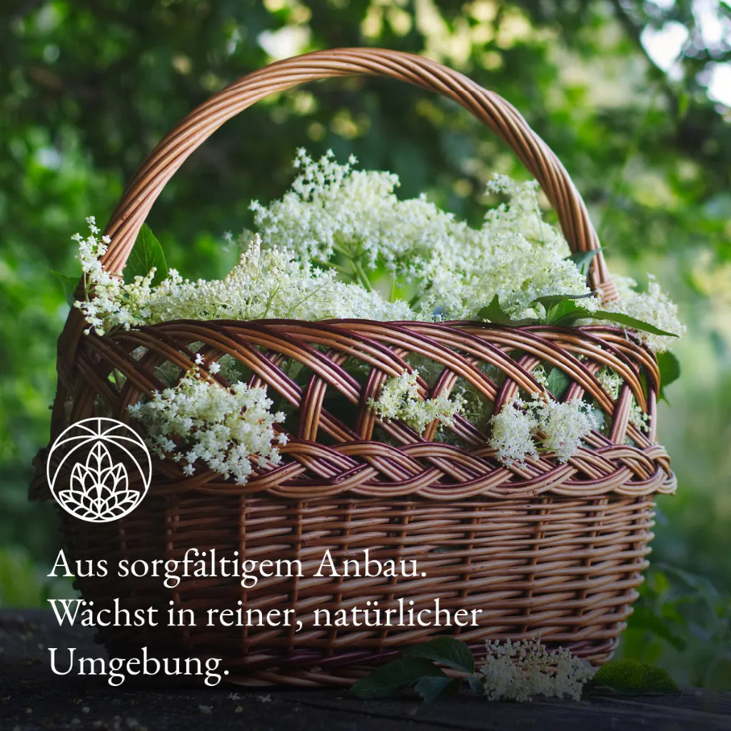 Holunderblüten (200g)