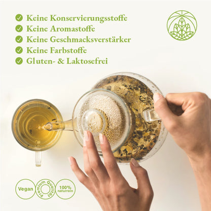 Schachtelhalmkraut (300g)