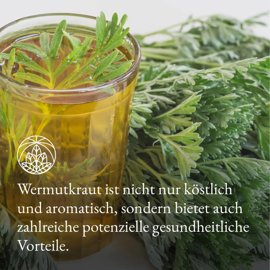 Wermutkraut (300g)